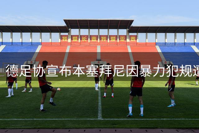 德足协宣布本塞拜尼因暴力犯规遭两场禁赛