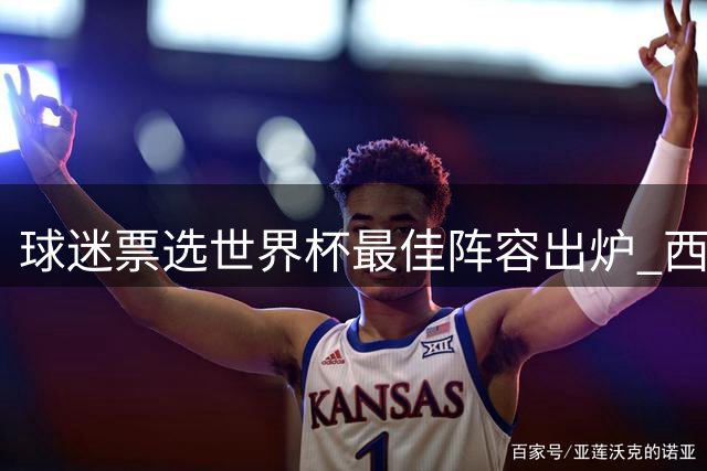 球迷票选世界杯最佳阵容出炉 西班牙法国平分秋色 黑马门将引热议